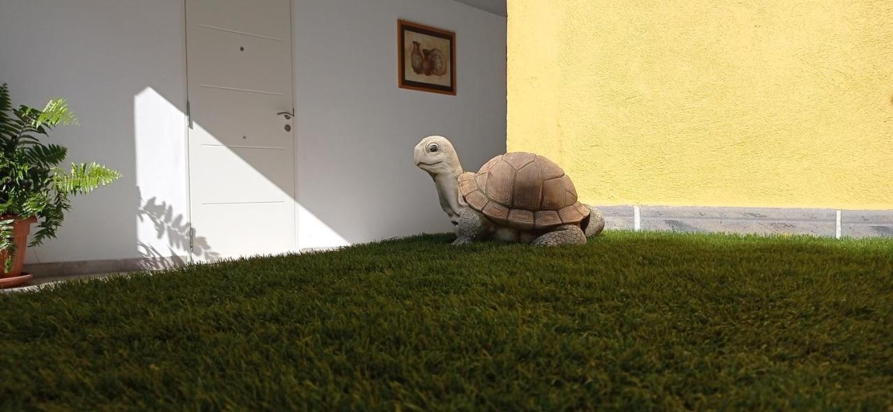 Apartamento Parque La Guina La Orotava Exterior foto