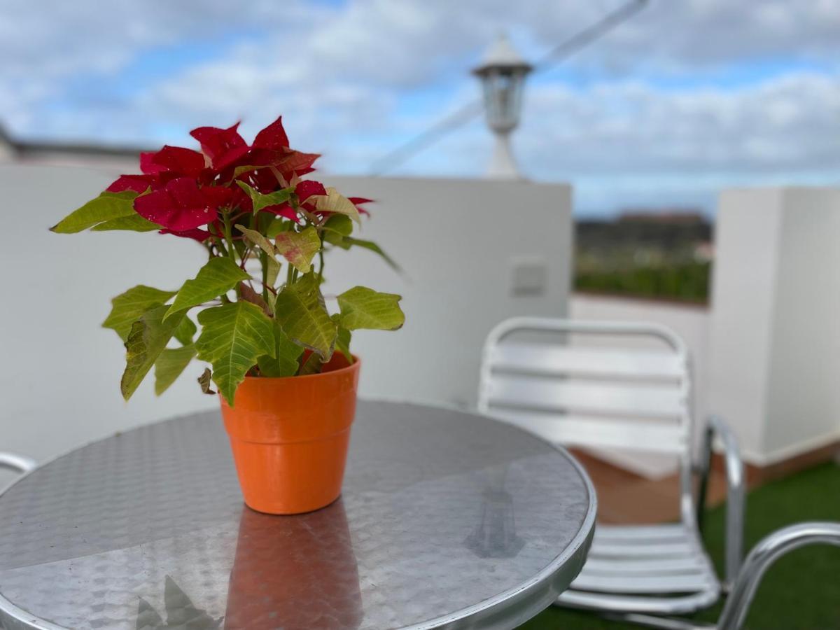 Apartamento Parque La Guina La Orotava Exterior foto